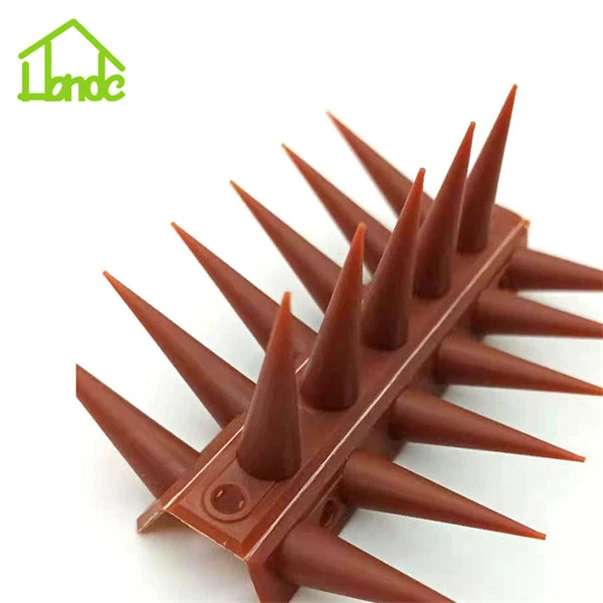 cat bird spike