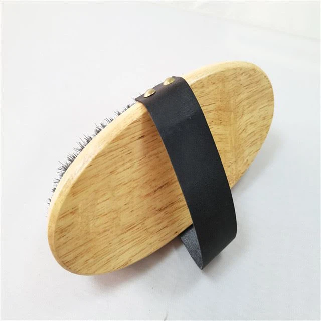 Metal Curry Comb Grooming A Horse