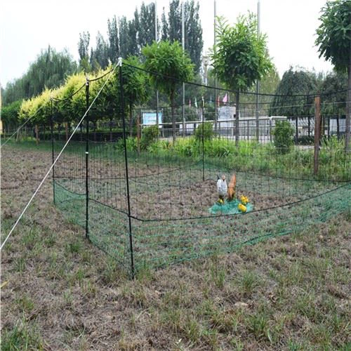 24m verde garduri Net