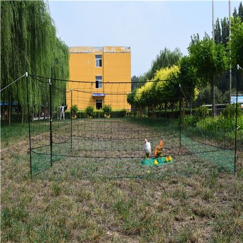Solar electrice de pui Fence Kit