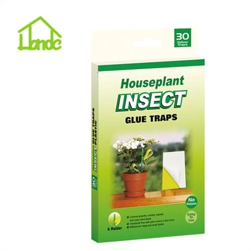 Capcana pentru lipici pentru insecte